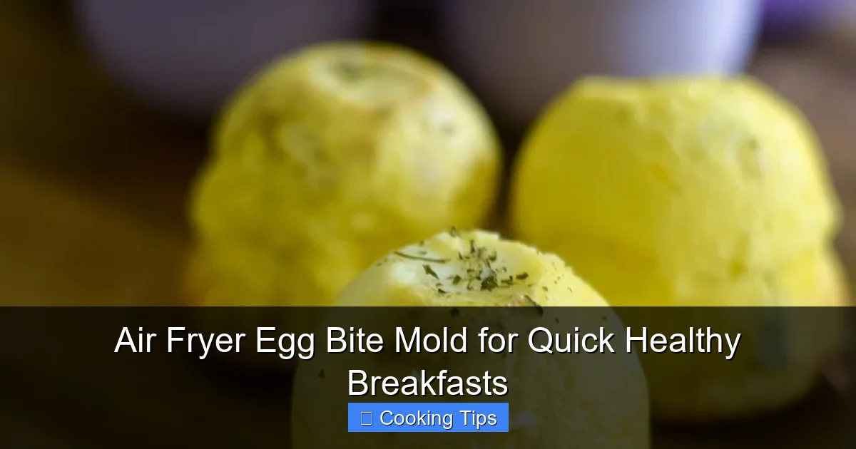 Air Fryer Egg Bite Mold for Quick Healthy Breakfasts