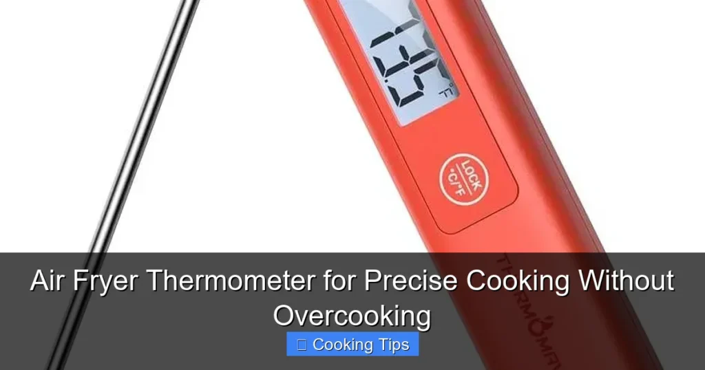 Air Fryer Thermometer for Precise Cooking Without Overcooking