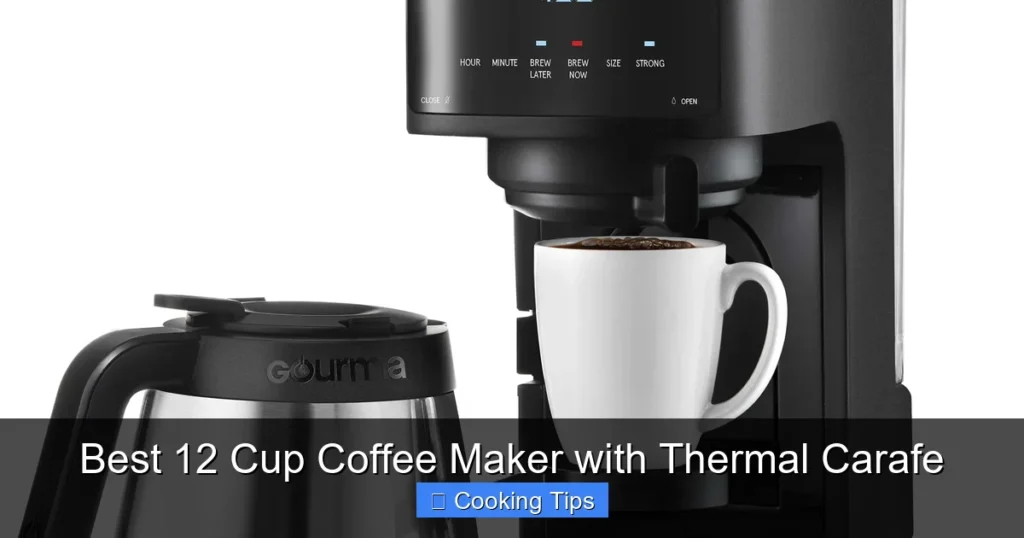 Best 12 Cup Coffee Maker with Thermal Carafe