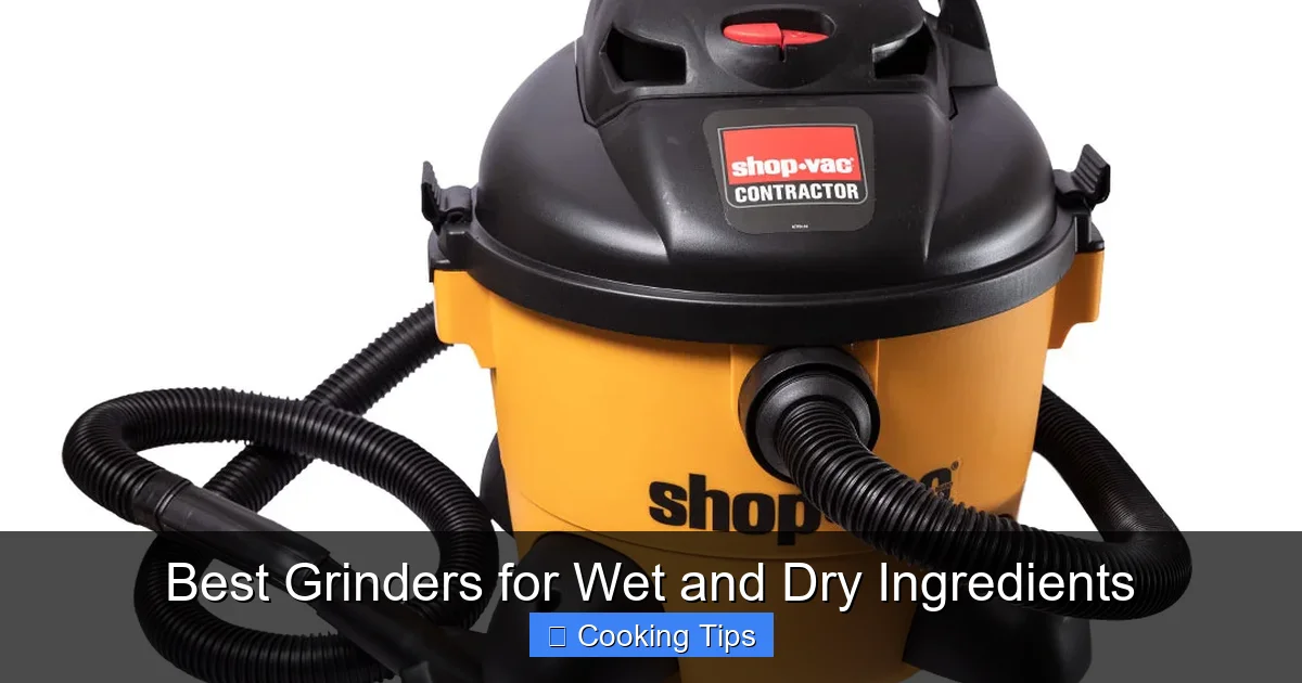 Best Grinders for Wet and Dry Ingredients