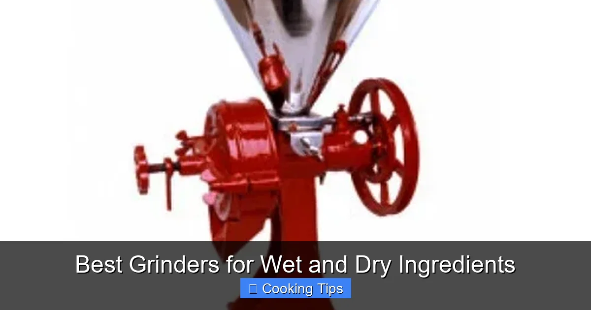 Best Grinders for Wet and Dry Ingredients