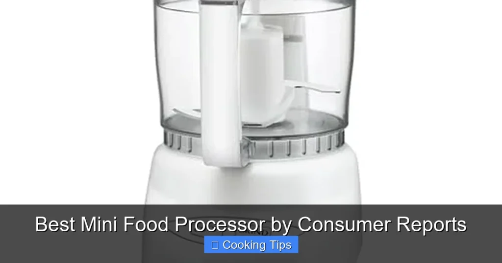Best Mini Food Processor by Consumer Reports