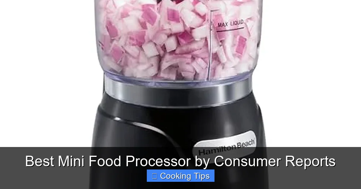 Best Mini Food Processor by Consumer Reports
