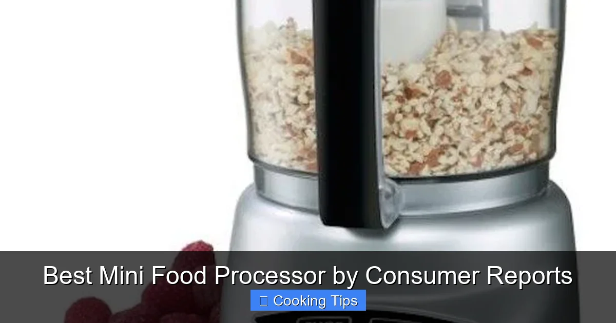 Best Mini Food Processor by Consumer Reports