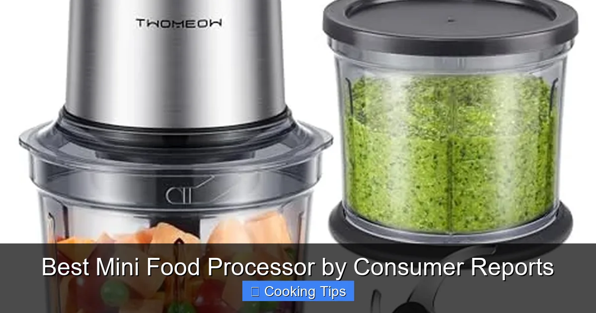 Best Mini Food Processor by Consumer Reports