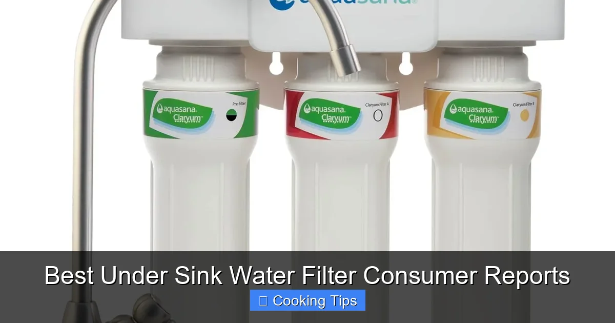 Best Under Sink Water Filter Consumer Reports