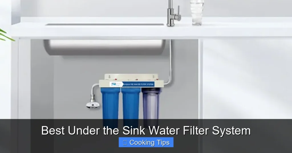 Best Under the Sink Water Filter System