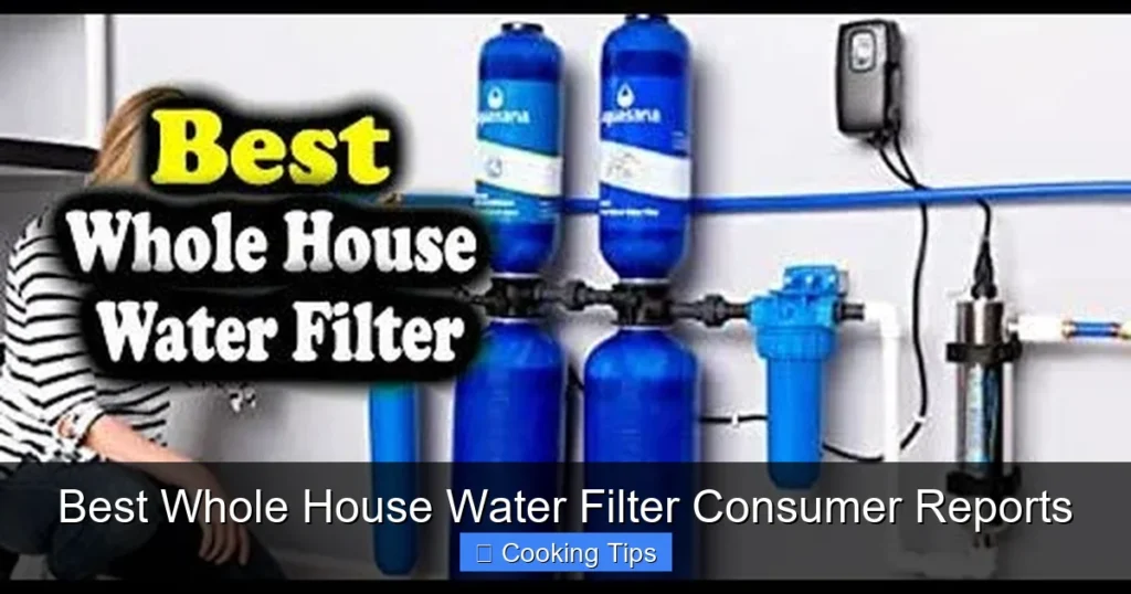 Best Whole House Water Filter Consumer Reports