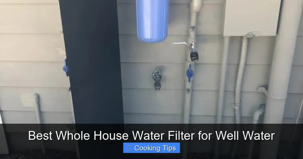 Best Whole House Water Filter for Well Water Best Whole House Water Filter for Well Water