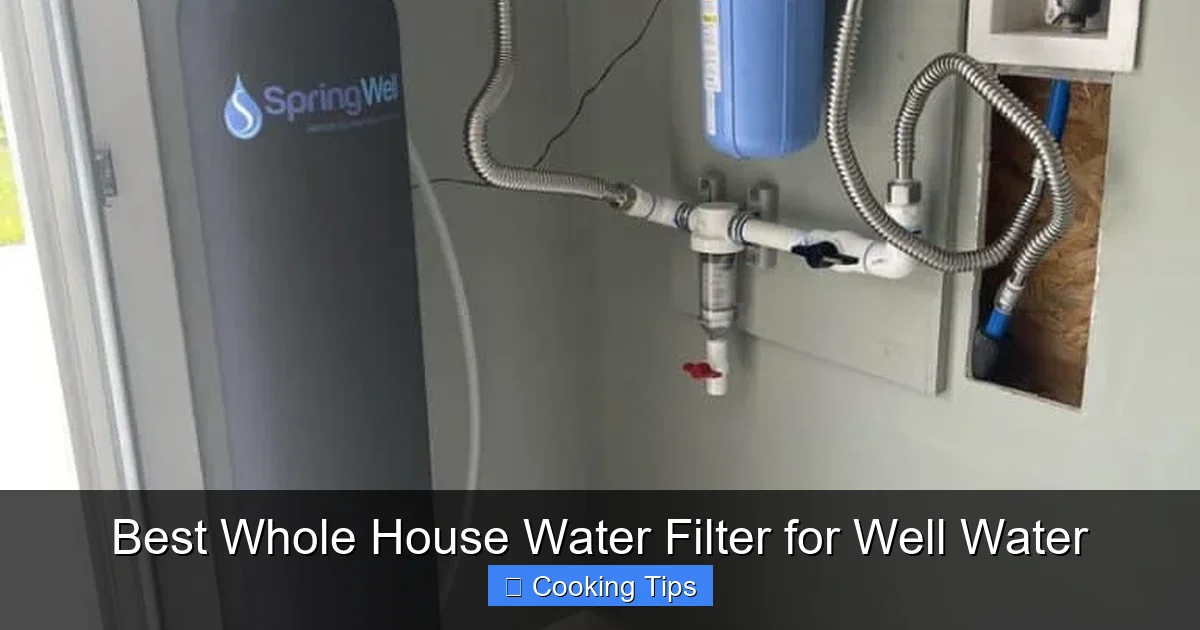 Best Whole House Water Filter for Well Water