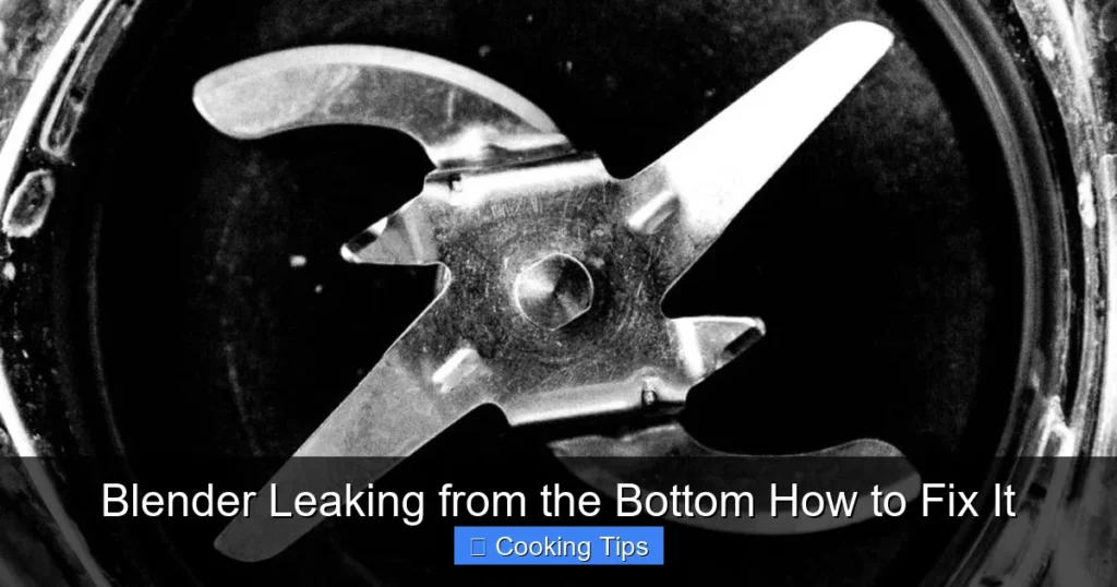 Blender Leaking from the Bottom How to Fix It