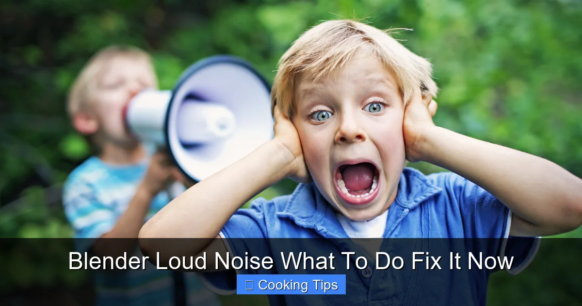 Blender Loud Noise What To Do Fix It Now