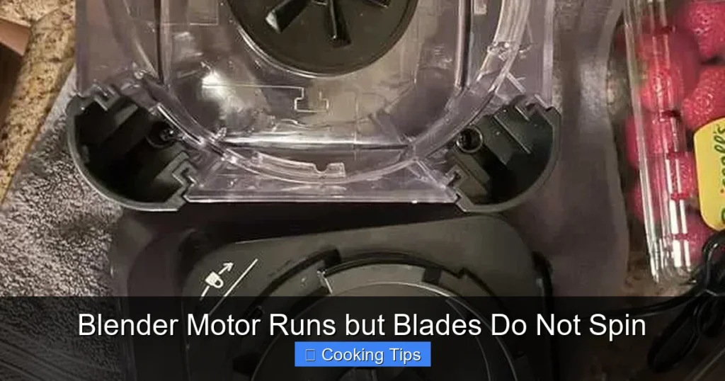 Blender Motor Runs but Blades Do Not Spin