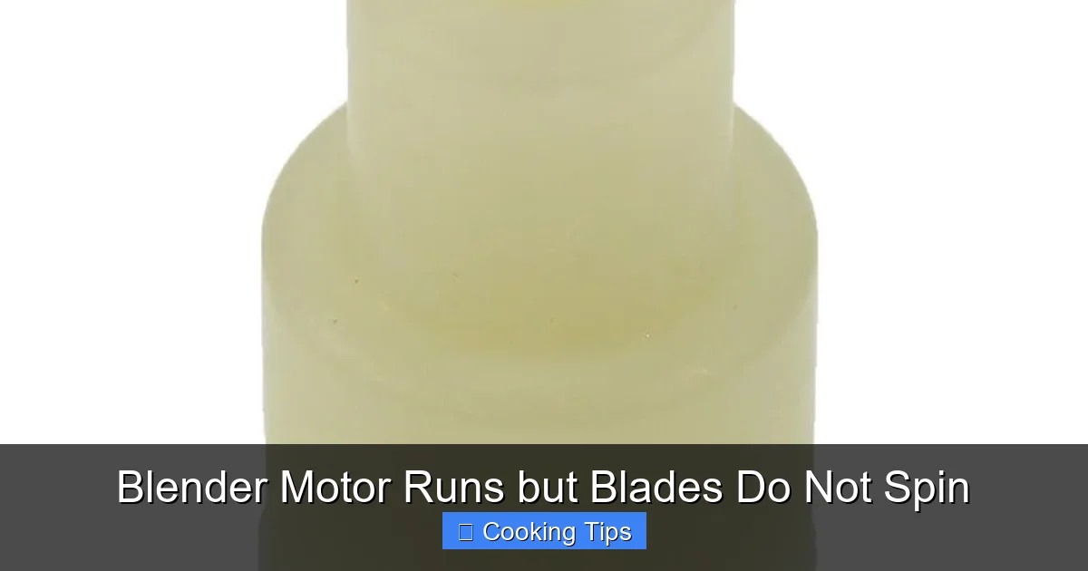 Blender Motor Runs but Blades Do Not Spin