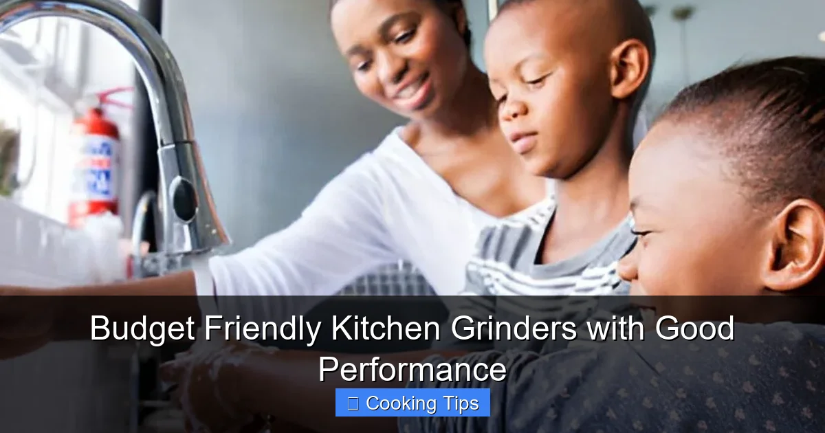 Budget Friendly Kitchen Grinders with Good Performance