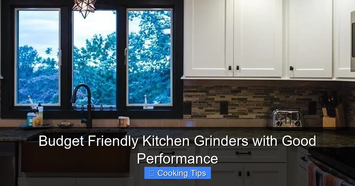 Budget Friendly Kitchen Grinders with Good Performance