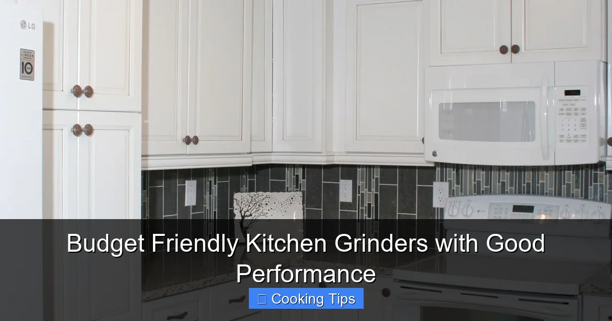 Budget Friendly Kitchen Grinders with Good Performance