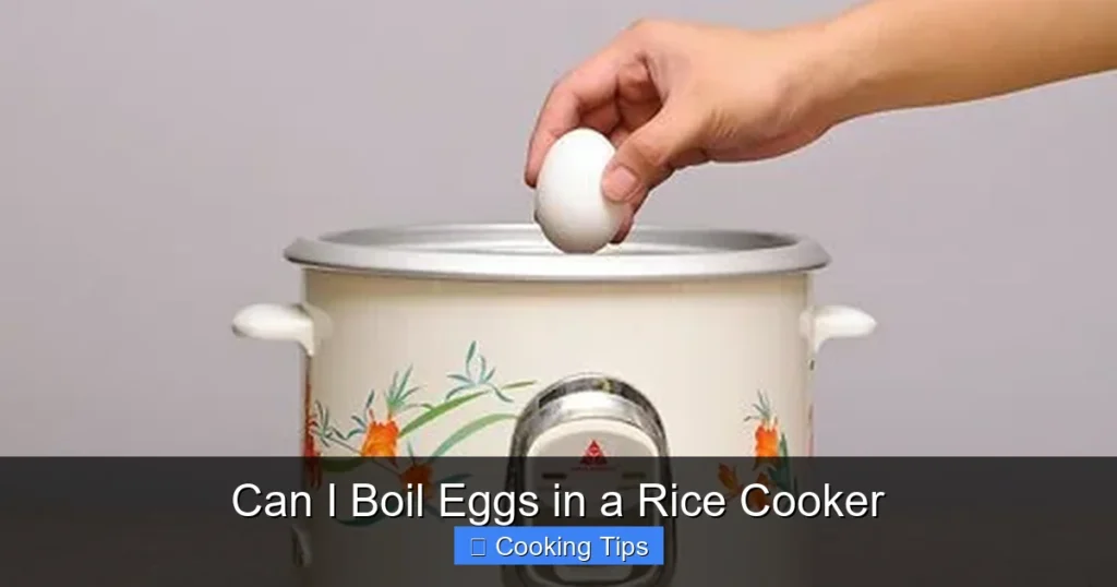 Can I Boil Eggs in a Rice Cooker Can I Boil Eggs in a Rice Cooker