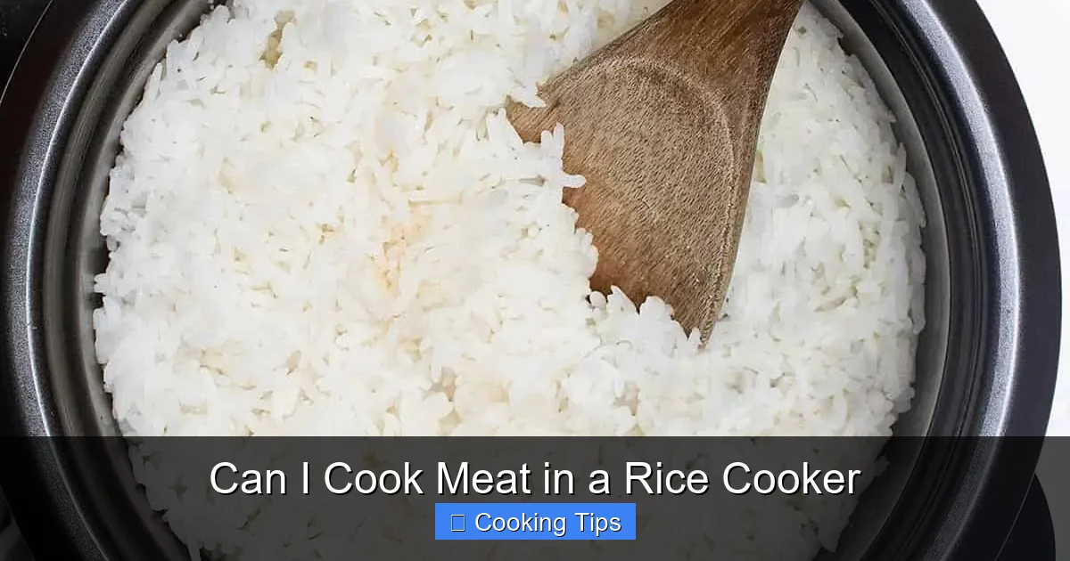 Can I Cook Meat in a Rice Cooker