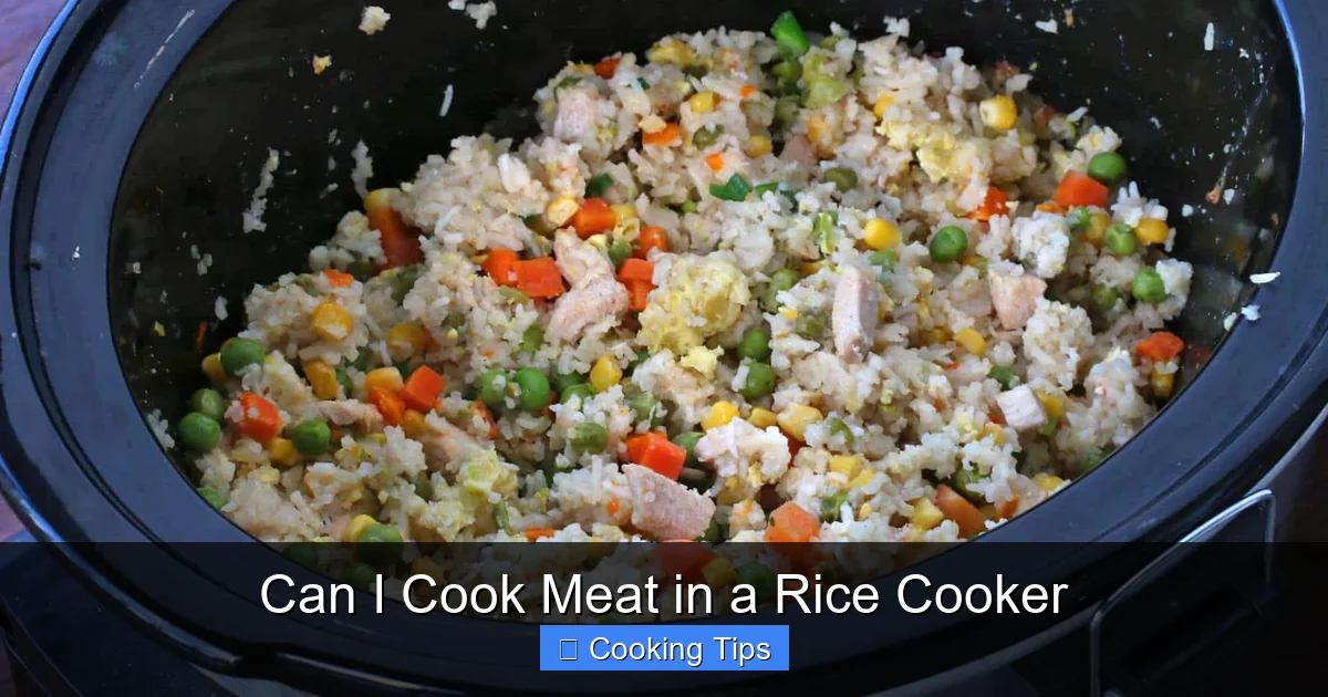 Can I Cook Meat in a Rice Cooker