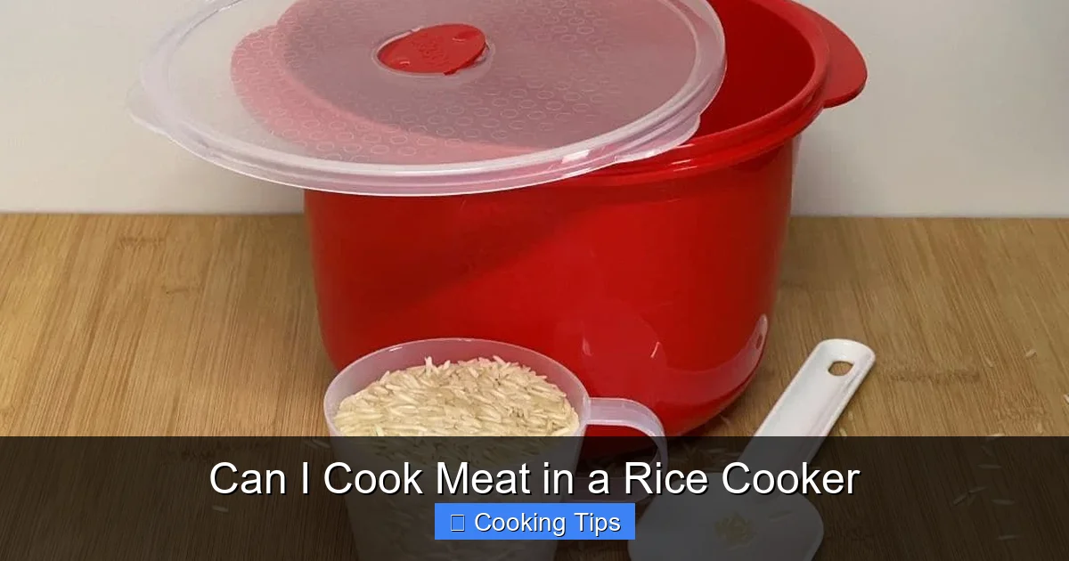Can I Cook Meat in a Rice Cooker