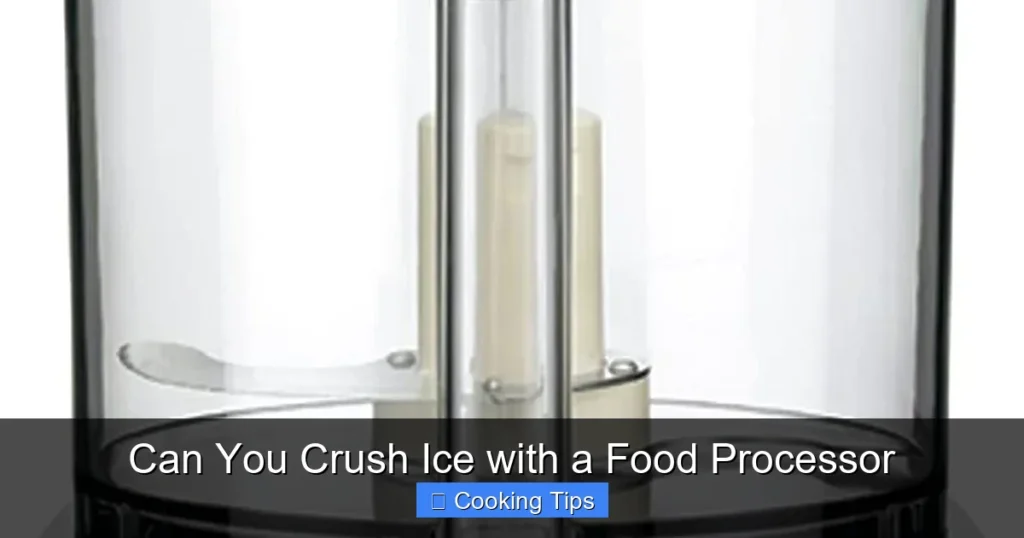 Can You Crush Ice with a Food Processor