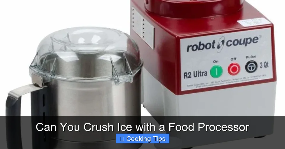 Can You Crush Ice with a Food Processor