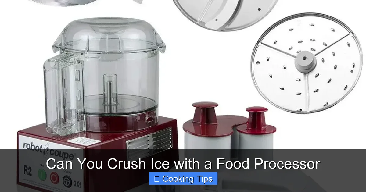 Can You Crush Ice with a Food Processor