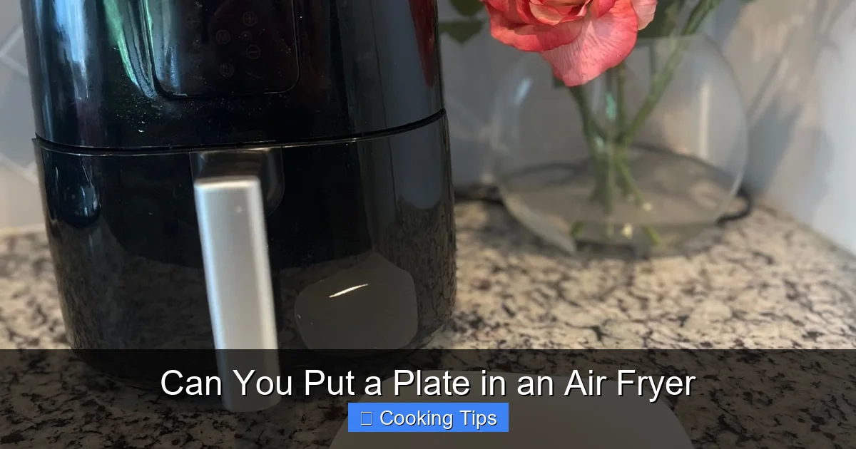 Can You Put a Plate in an Air Fryer