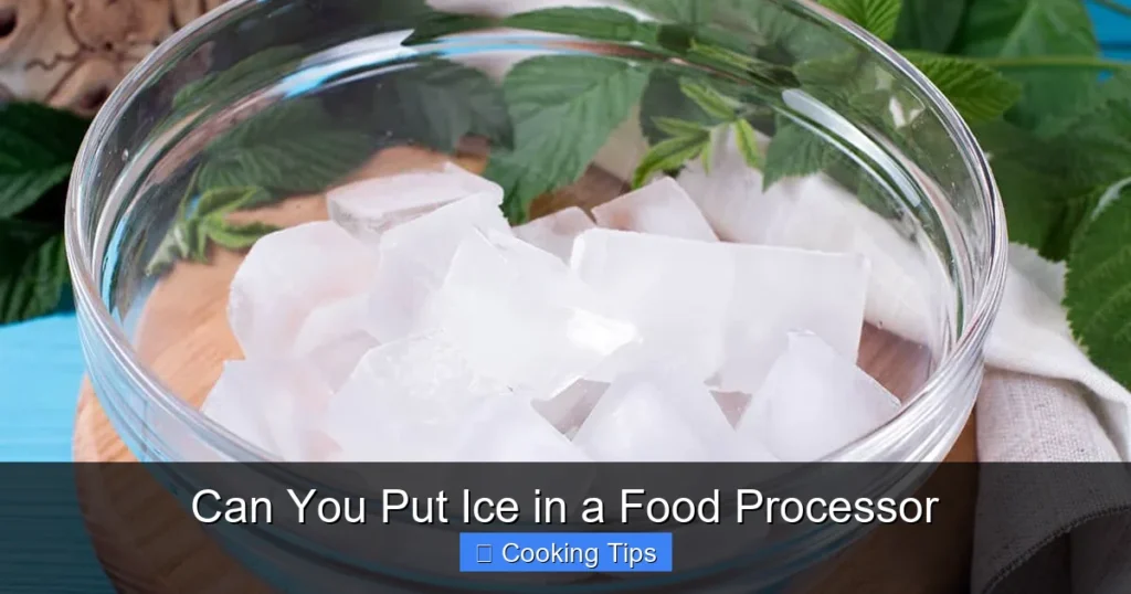 Can You Put Ice in a Food Processor