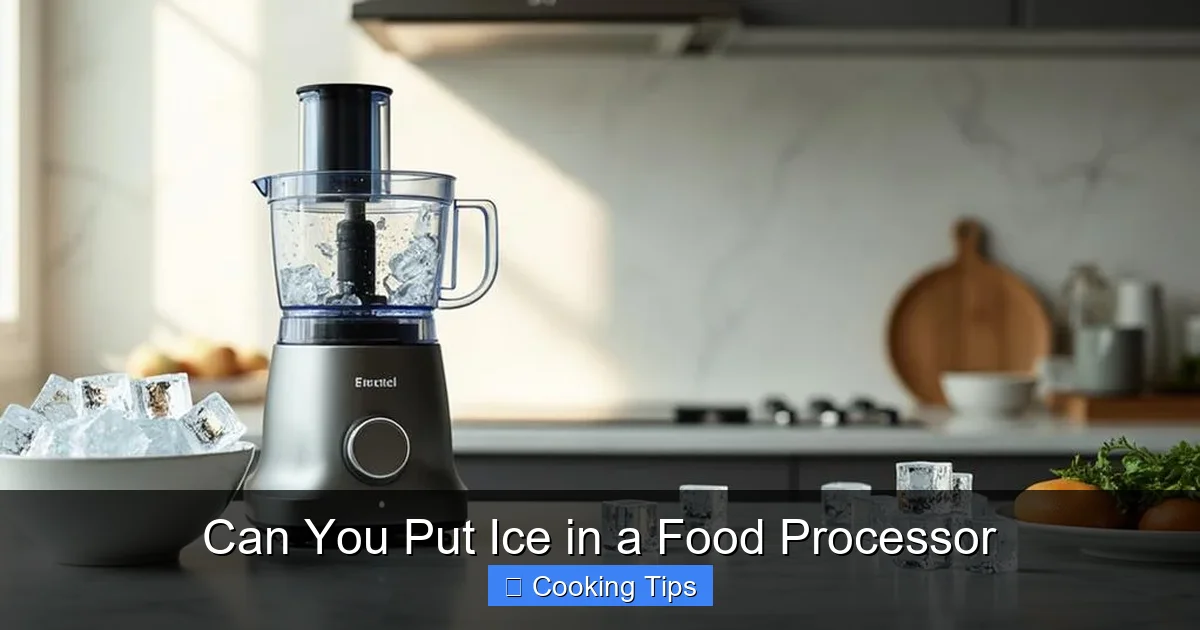 Can You Put Ice in a Food Processor