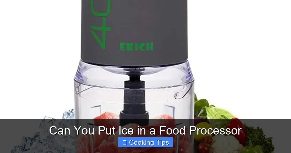 Can You Put Ice in a Food Processor