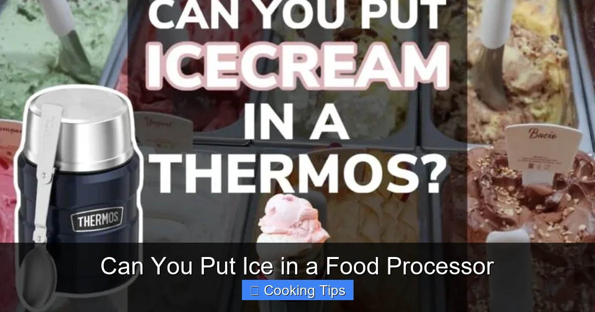 Can You Put Ice in a Food Processor