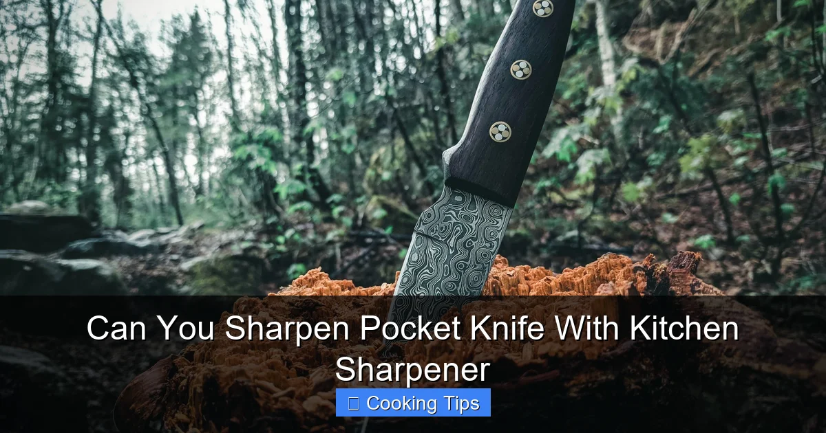 Can You Sharpen Pocket Knife With Kitchen Sharpener