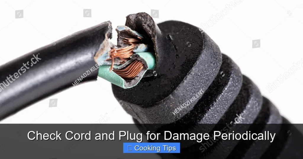 Check Cord and Plug for Damage Periodically