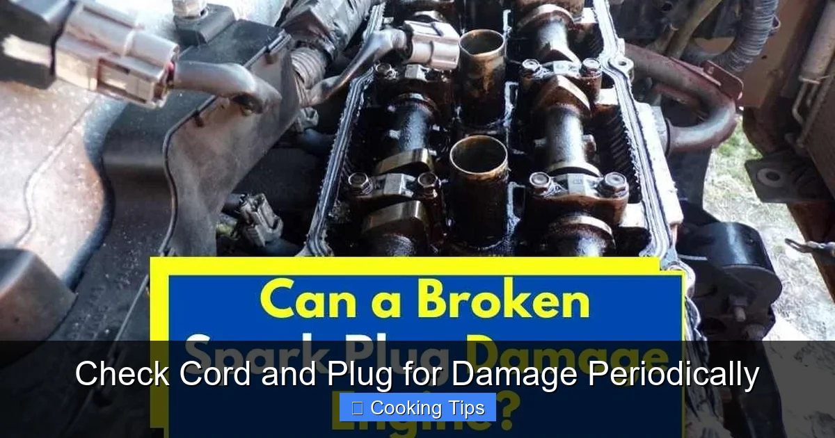 Check Cord and Plug for Damage Periodically
