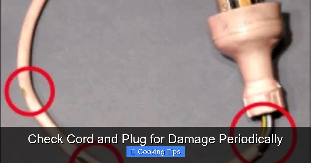 Check Cord and Plug for Damage Periodically