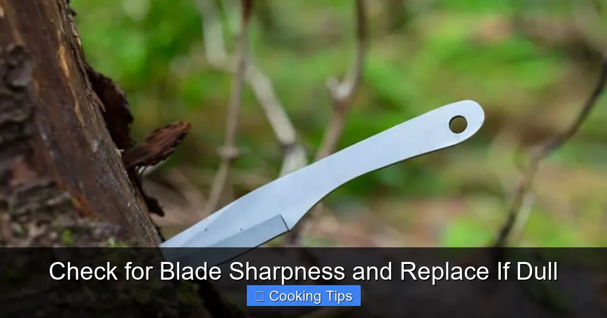 Check for Blade Sharpness and Replace If Dull