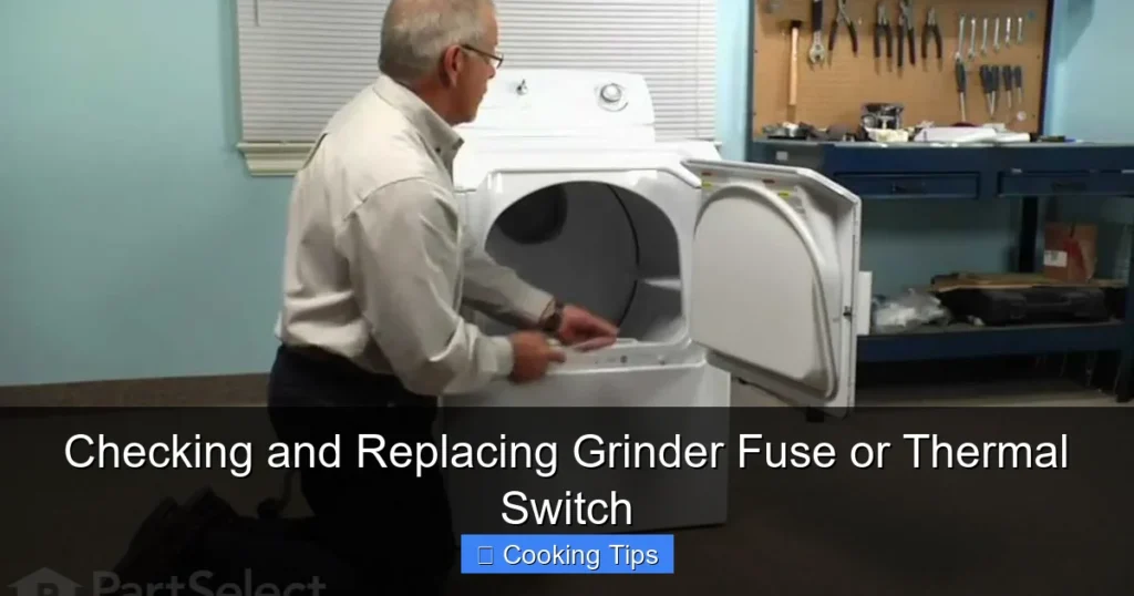 Checking and Replacing Grinder Fuse or Thermal Switch