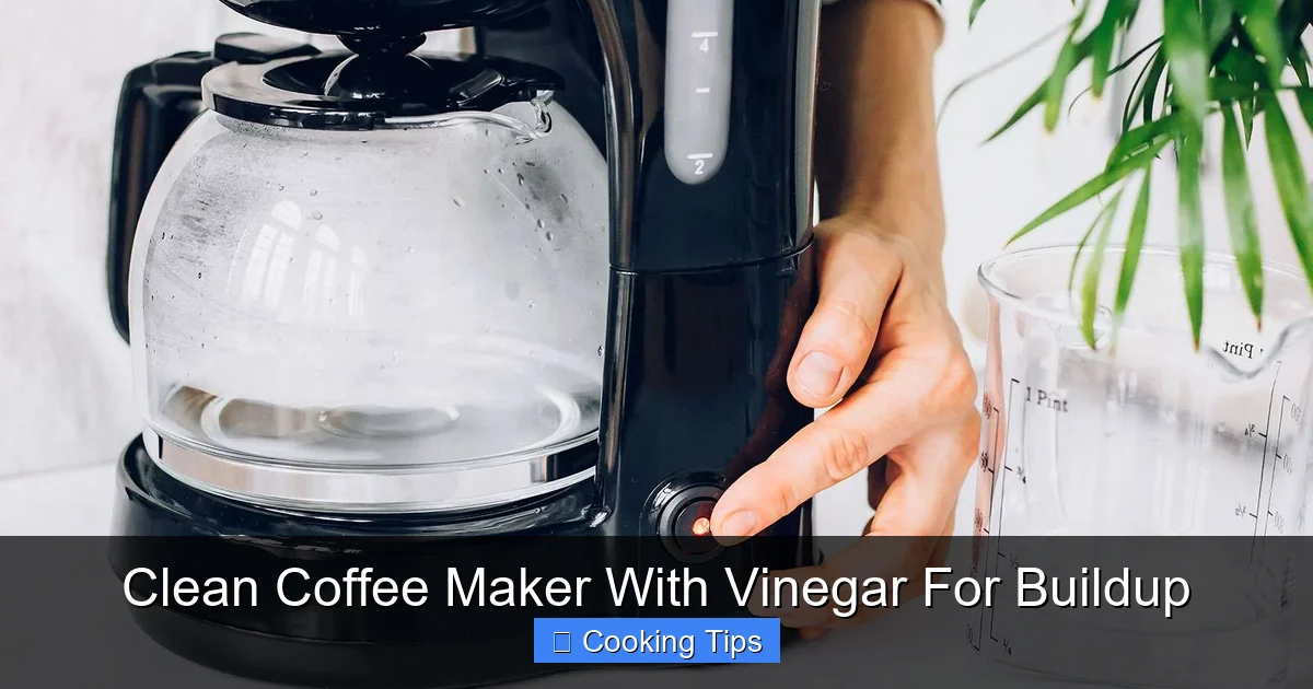 Clean Coffee Maker With Vinegar For Buildup