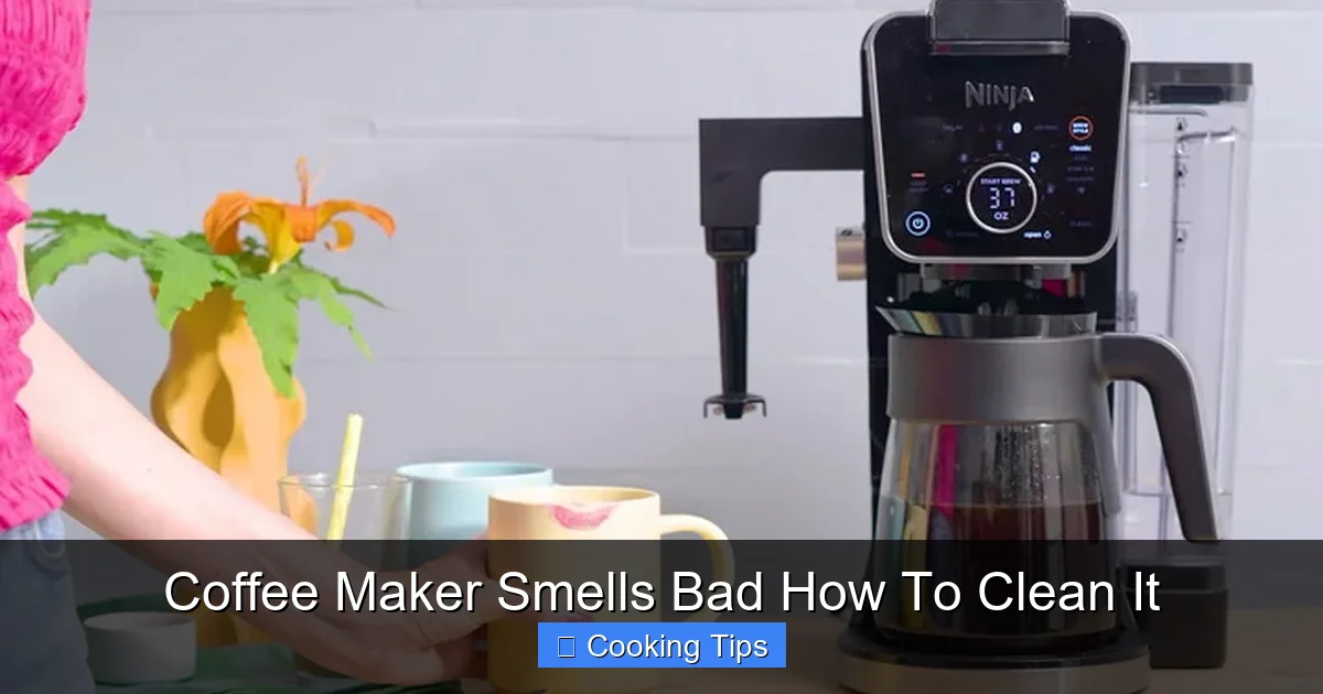 Coffee Maker Smells Bad How To Clean It