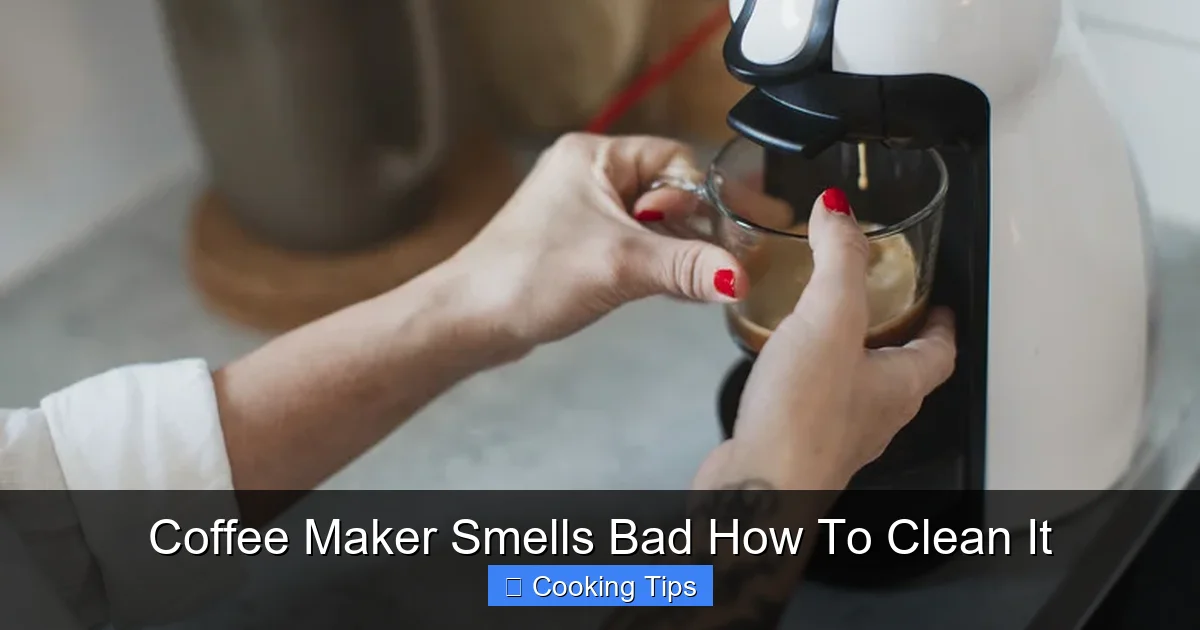 Coffee Maker Smells Bad How To Clean It