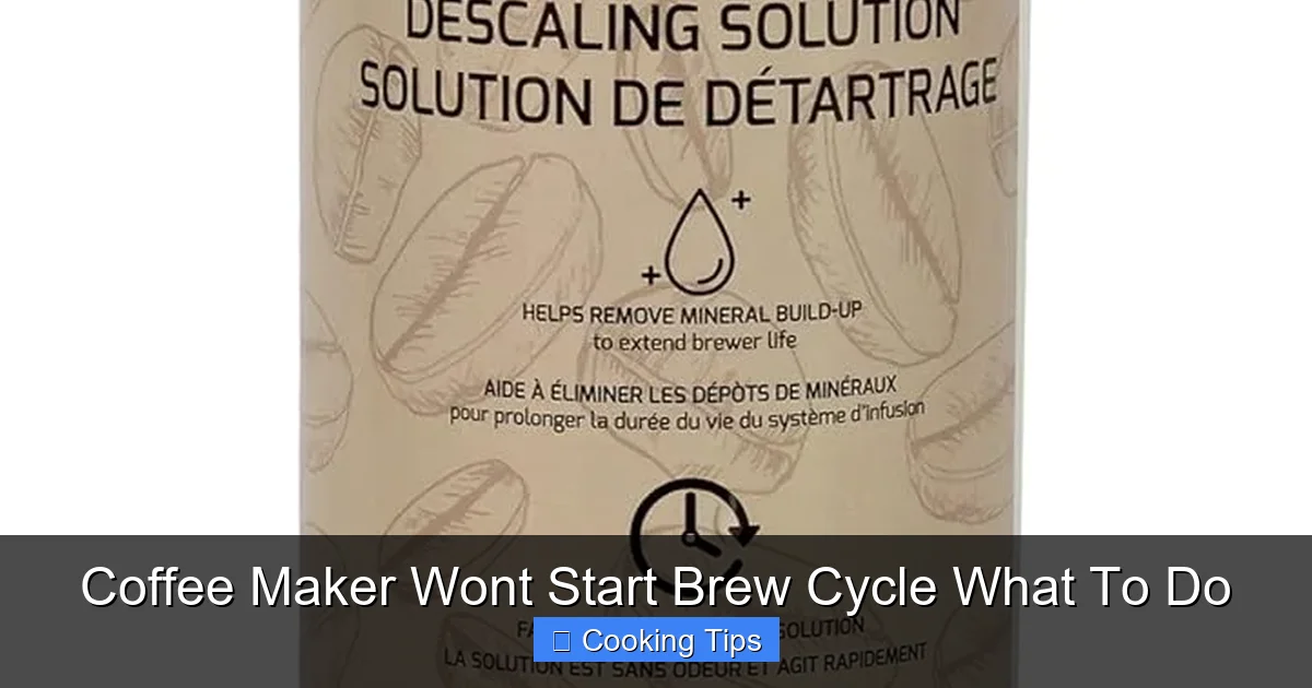 Coffee Maker Wont Start Brew Cycle What To Do