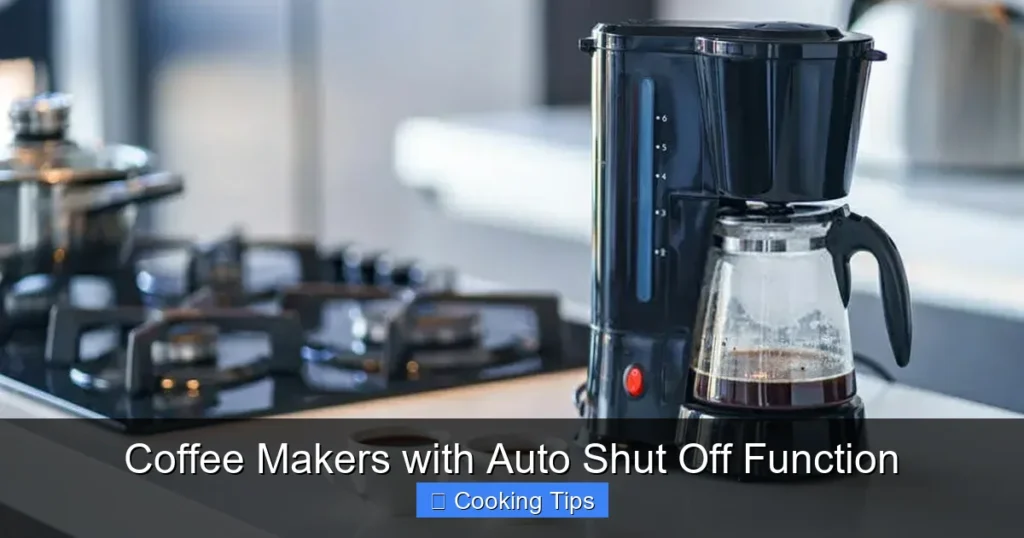 Coffee Makers with Auto Shut Off Function Coffee Makers with Auto Shut Off Function