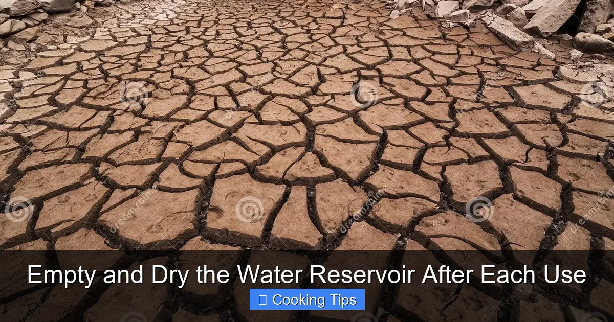 Empty and Dry the Water Reservoir After Each Use