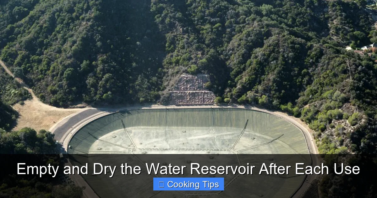 Empty and Dry the Water Reservoir After Each Use