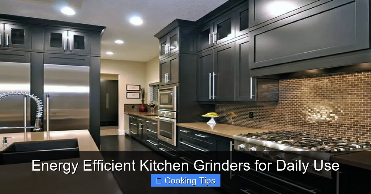Energy Efficient Kitchen Grinders for Daily Use