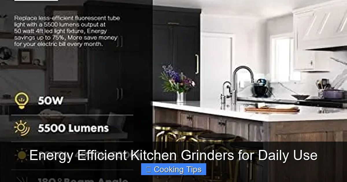 Energy Efficient Kitchen Grinders for Daily Use