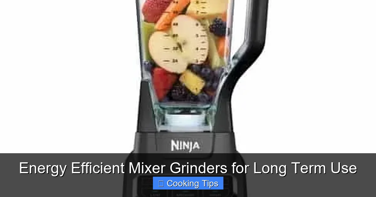 Energy Efficient Mixer Grinders for Long Term Use