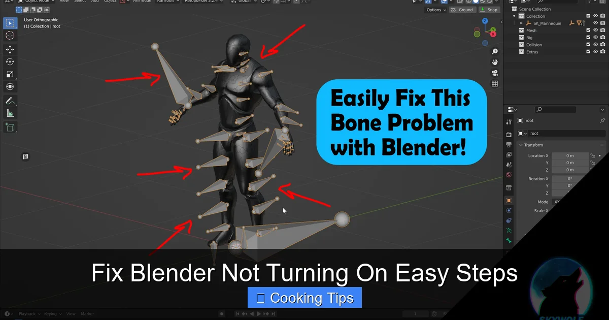 Fix Blender Not Turning On Easy Steps